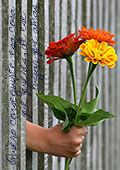 Portada 1