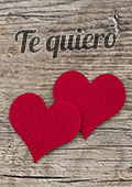 Portada 4