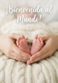 Portada 14