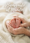 Portada 13