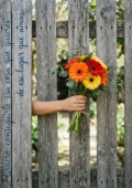 Portada 1