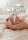 Portada 613